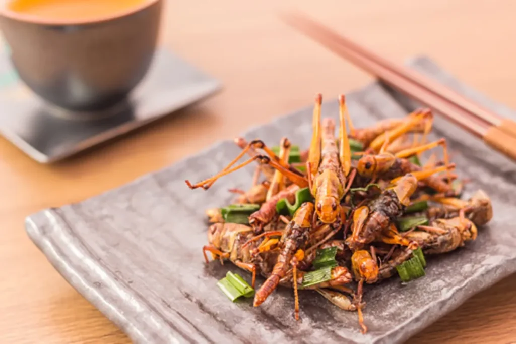 Grilos fritos temperados, uma iguaria exótica comumente consumida em várias culturas ao redor do mundo